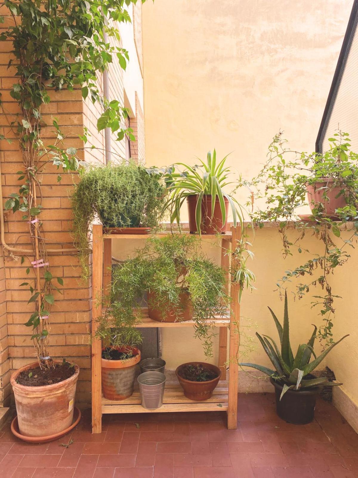 Casa Iole Apartment
